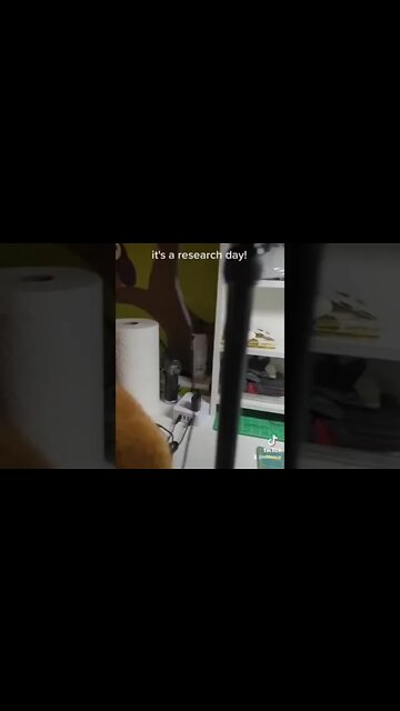 Next 3D printed Warhammer 40k box teaser #warhammer40k #warhammer #3dprinting #tidehaunters