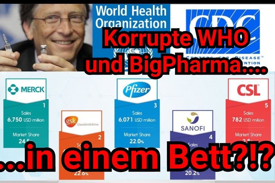 So inszenierte die WHO die Schweinegrippe als "Pandemie" -und BigPharma kassiert!