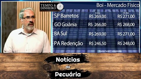 Boi gordo esboça reação e sobe em 12 praças pecuárias