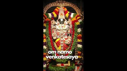 A Beautiful Video of Lord Venkateswara Balaji Abhishekam Mastinews