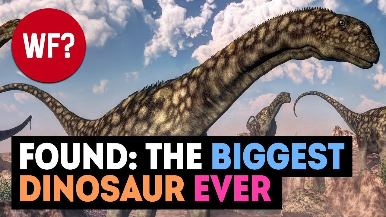 Largest Dinosaur EVER Discovered 😮 | Bigger than Patagotitan Majorum