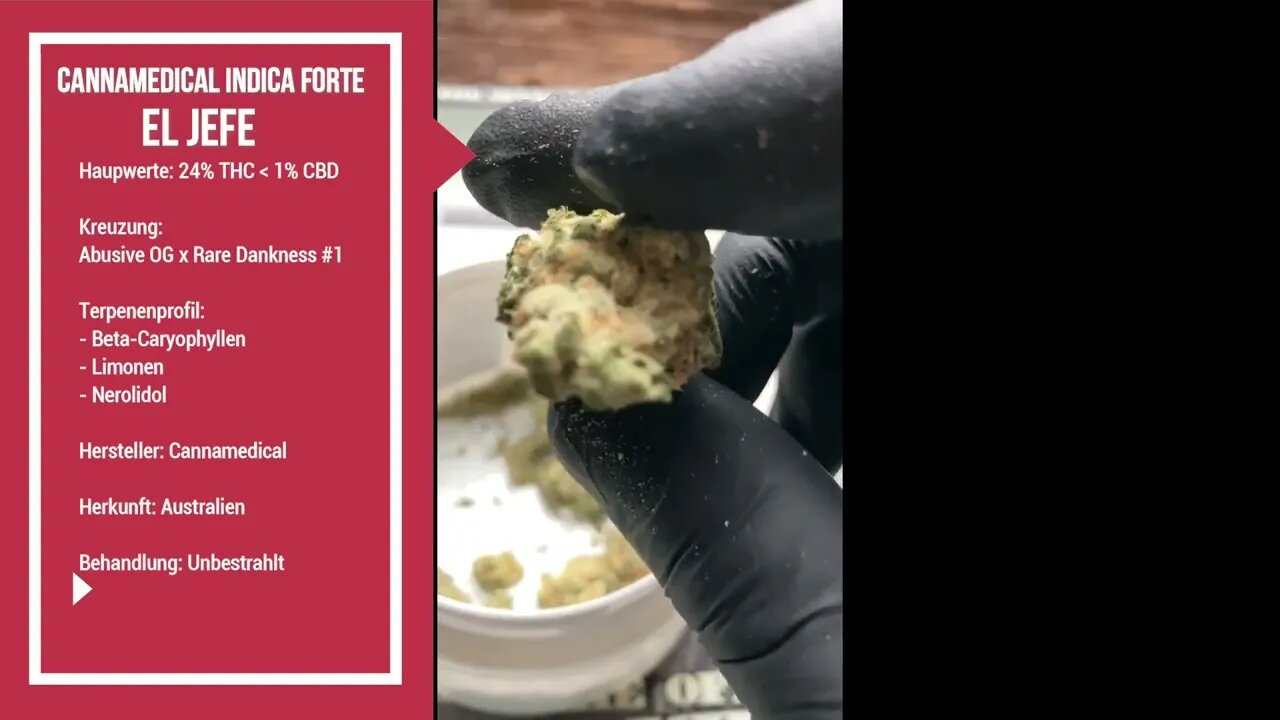 El Jefe / Cannamedical Indica Forte (Abusive OG x Rare Dankness #1) / 24% THC