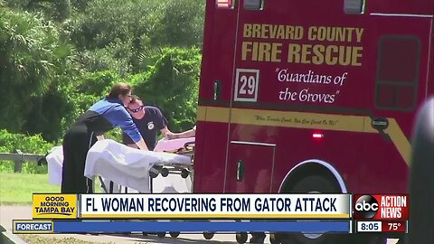 Florida woman bitten by alligator, flown to hospital