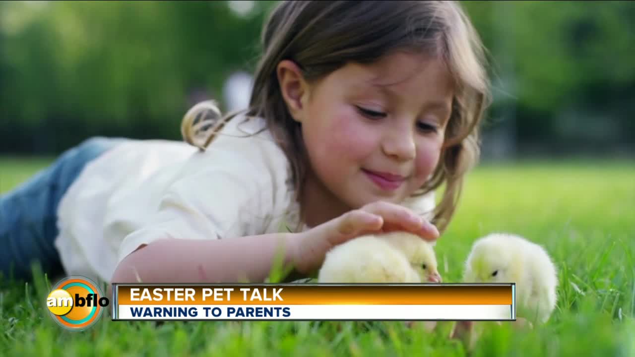 Pet Talk - Easter Pets