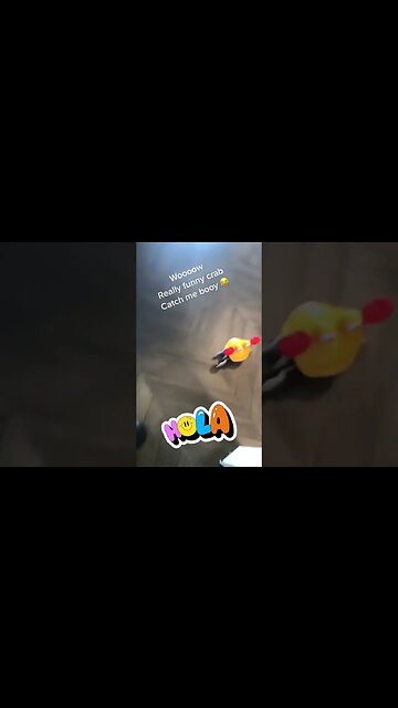 🦀 Very smart with its sensors #viral #shorts