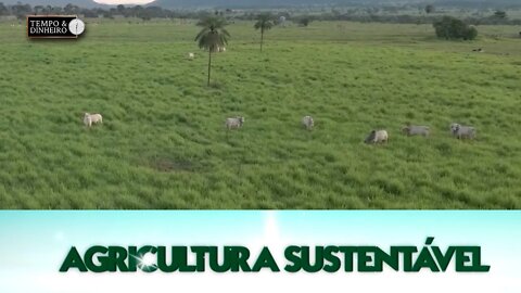 Agricultura Sustentável - com Frederico Olivi