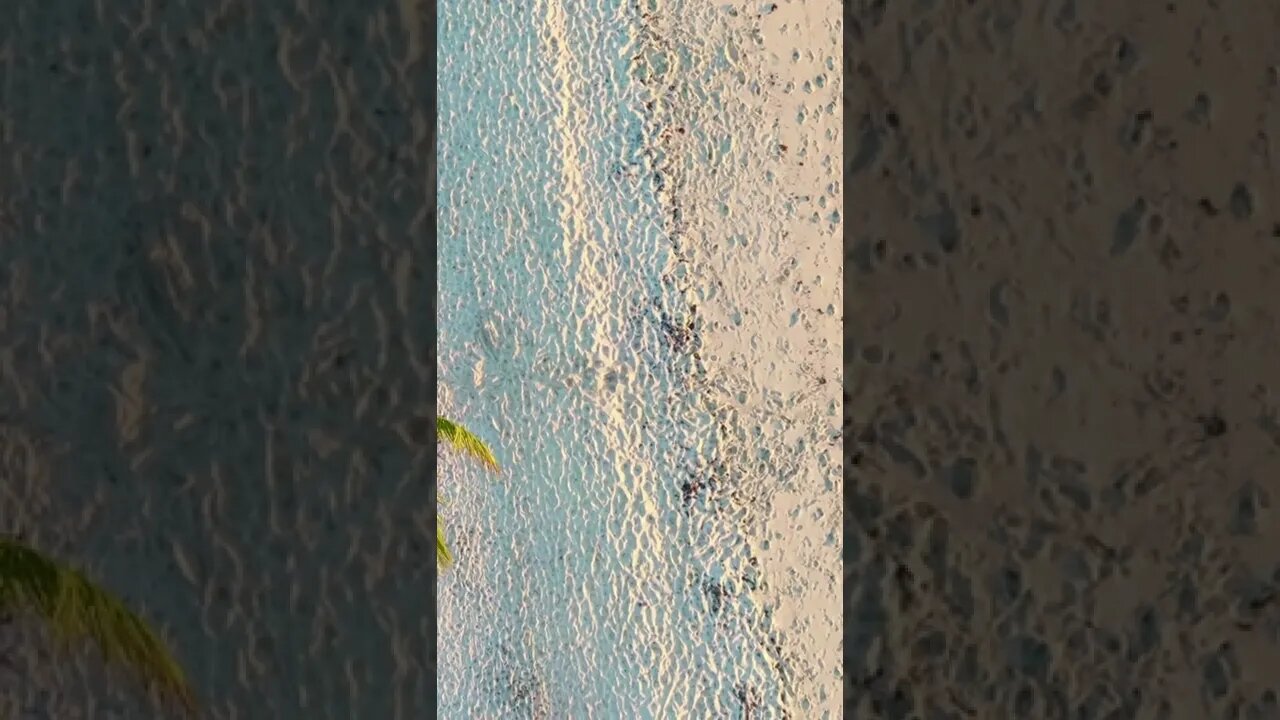 see aero shots of the beach from a drone