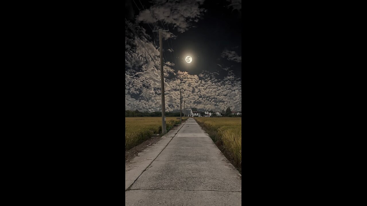 Moon Night 4K