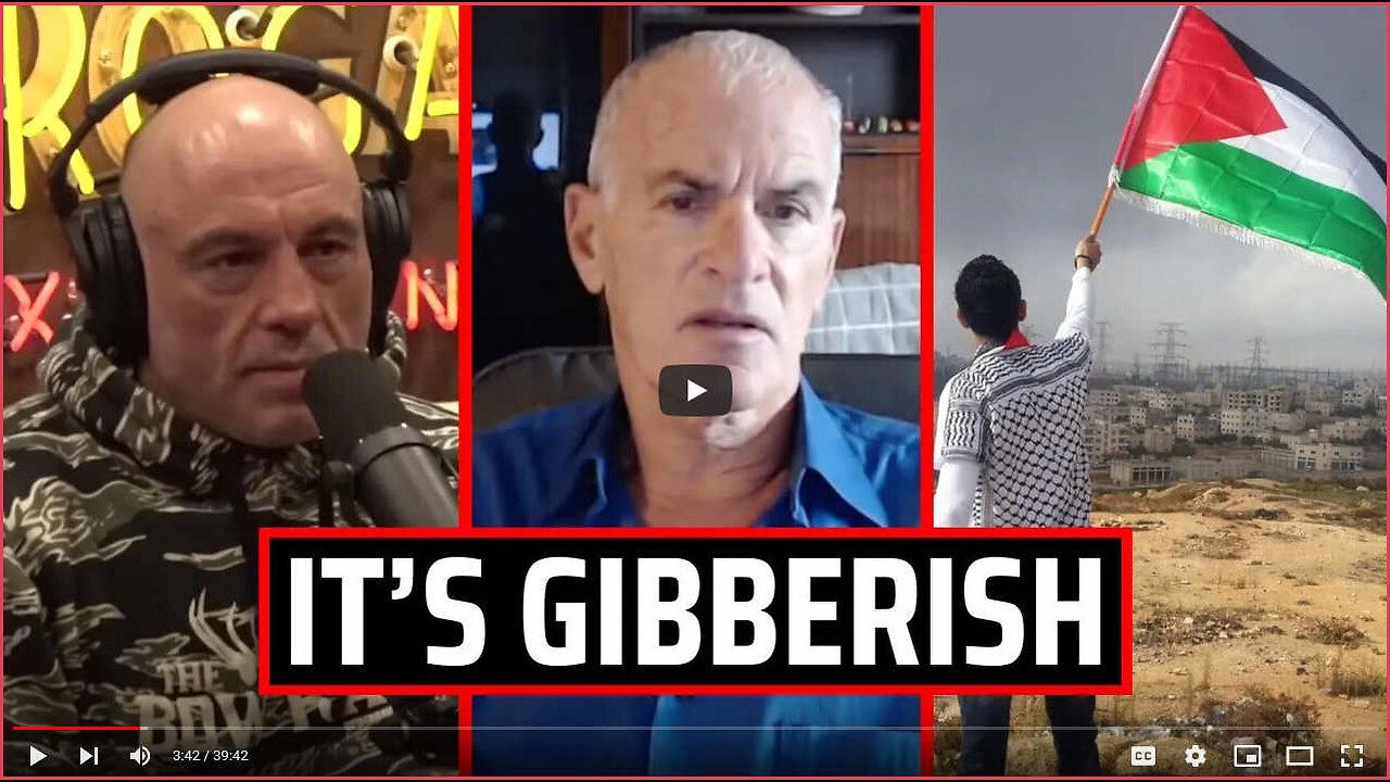 Dr Norman Finkelstein Exposing LIES of Zonists