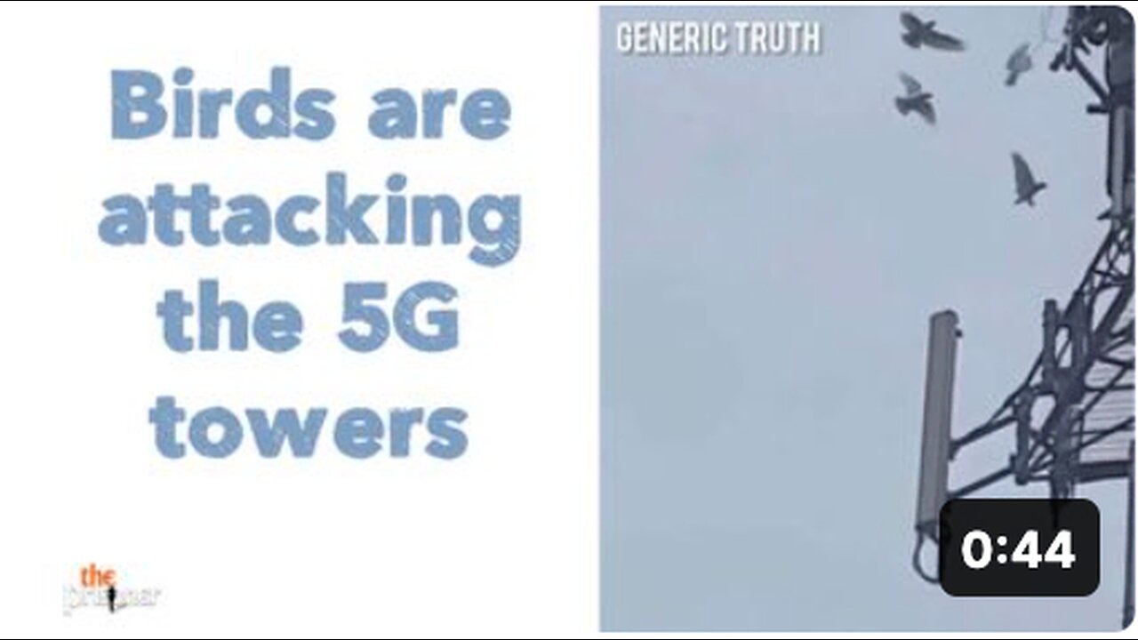 Birds are attacking the 5G Towers