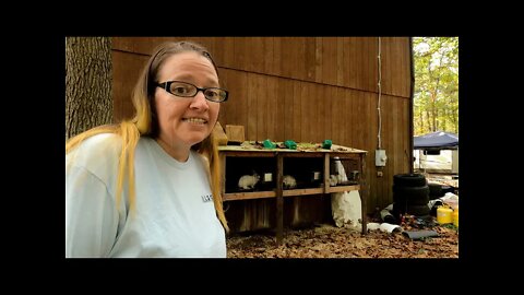 A day on the Homestead with JENN! | First solo | Homestead chores and garden tour