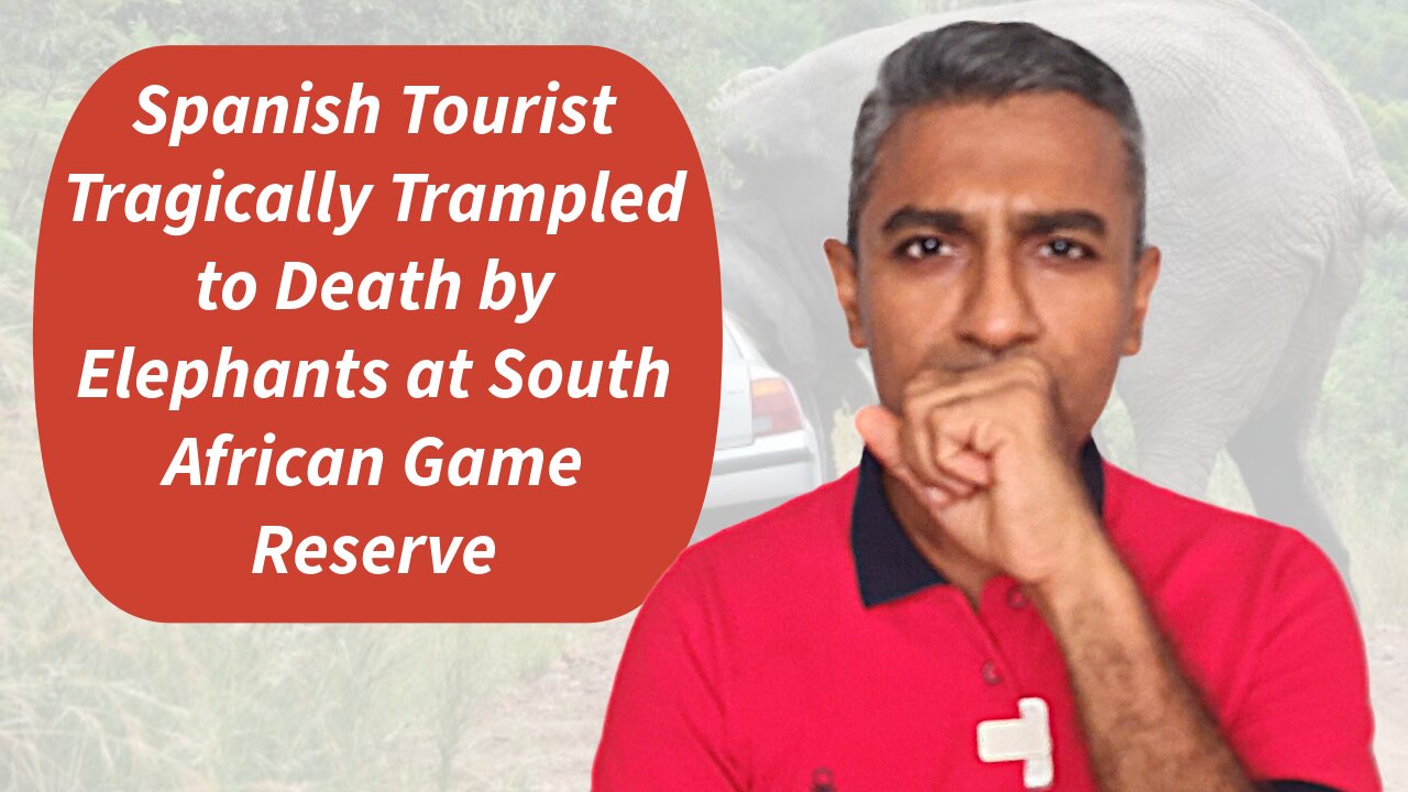 Spanish Tourist Tragically Trampled to Death by Elephants at South African Game Reserve