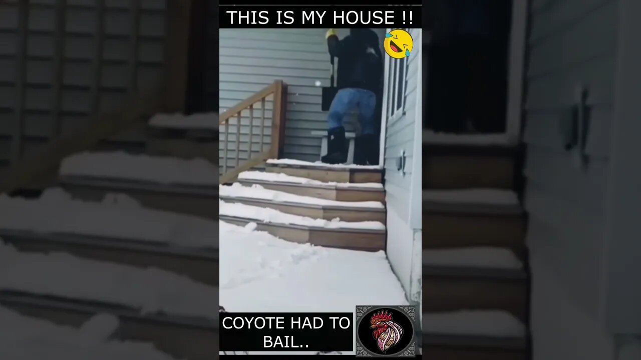 Man casually throws COYOTE out of a door step