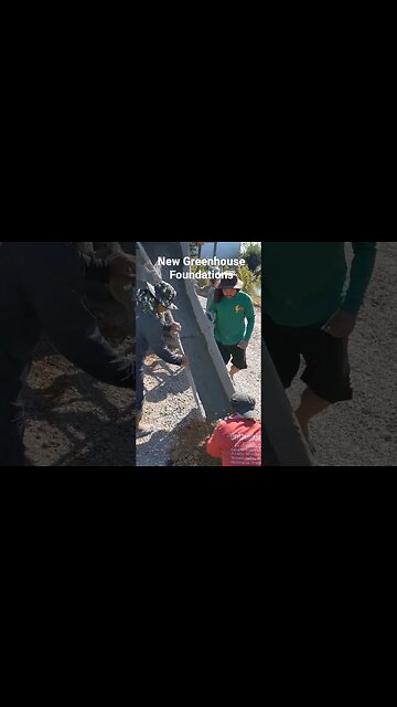 Pouring the new foundations for the next set of greenhouses