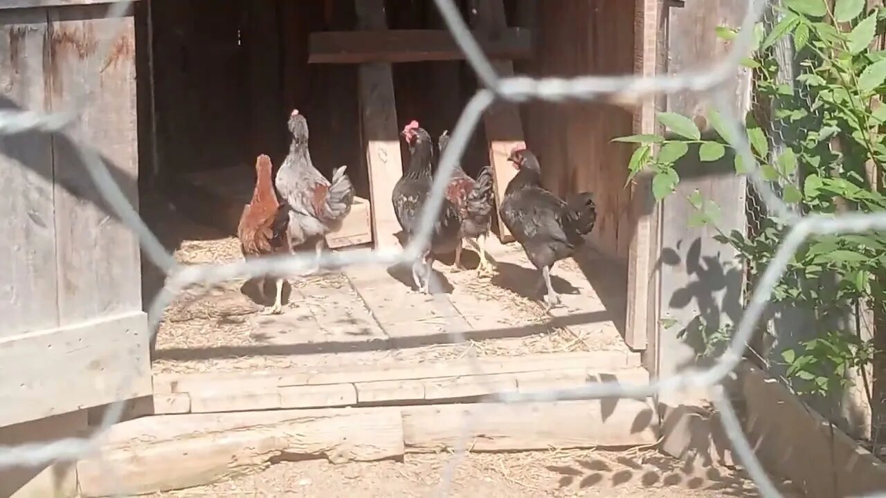 Out In South East Oklahoma Checking Out The Ranch