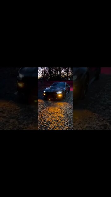 I keep it clean 💯 #ford #mustangsociety #fordperformance #fordracing #shorts