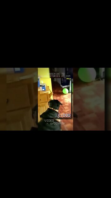 they woke up to find THIS in their house... #shorts