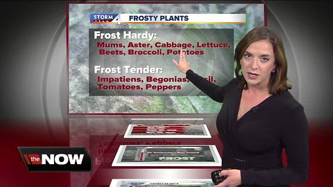 Geeking Out: Frost advisory hitting southeastern Wisconsin Friday night