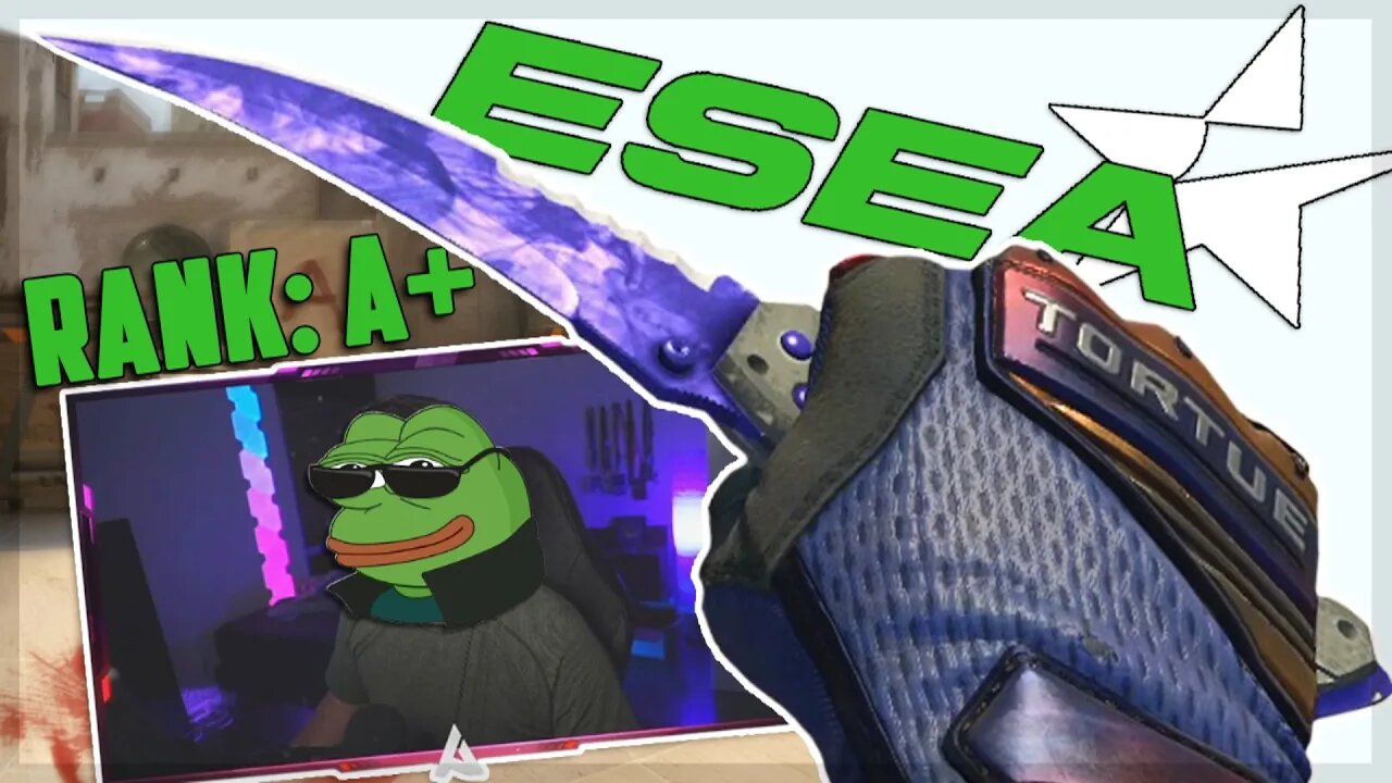 How I Got My ESEA A+ Back 👏