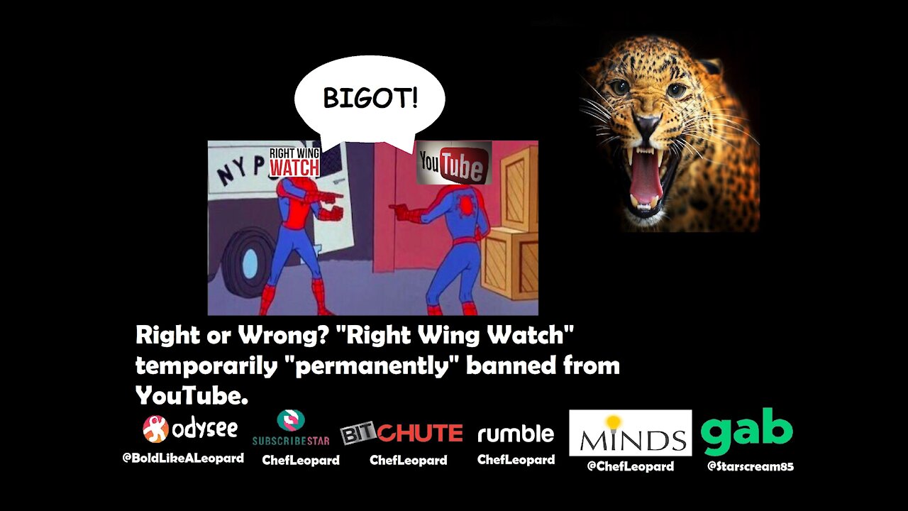 Right or Wrong? "Right Wing Watch" temporarily permanently banned from YouTube.