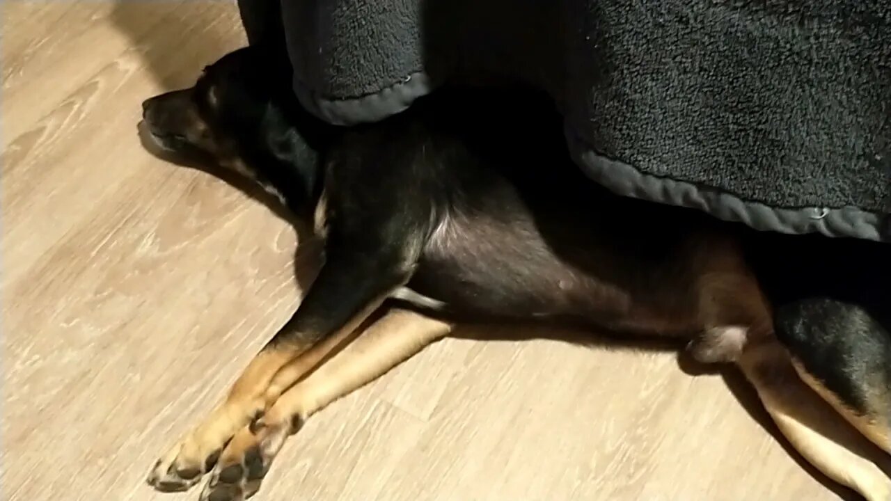 At the End of the Day- We are all Parents.