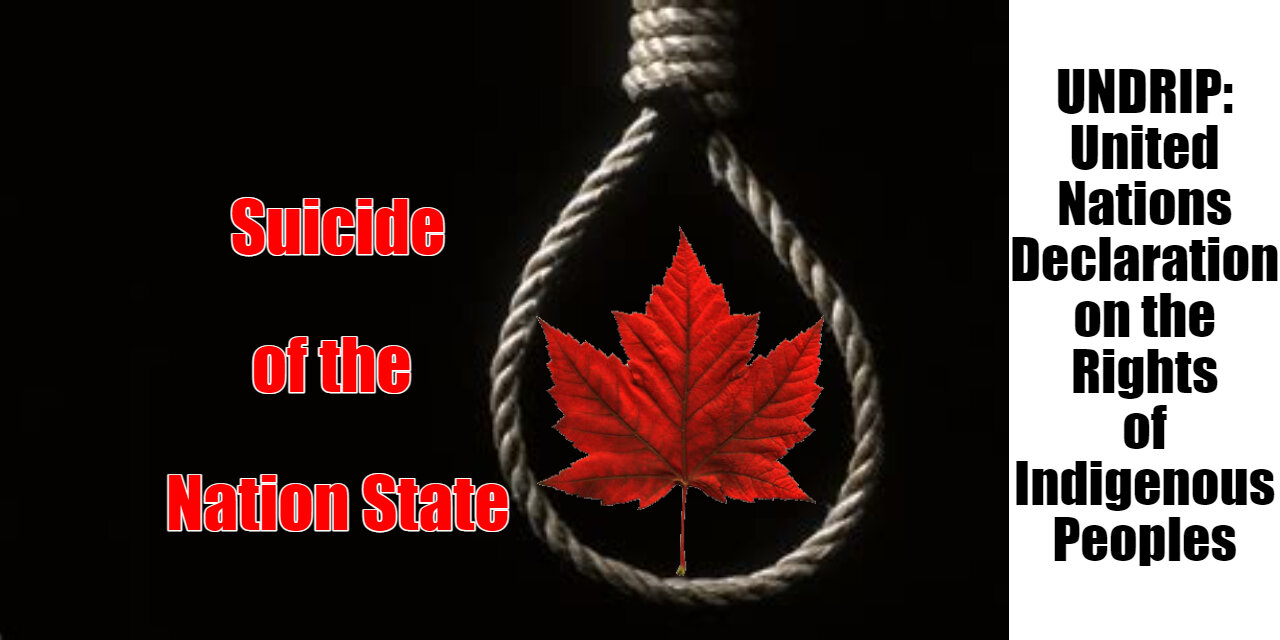 UNDRIP - Suicide for the Nation State