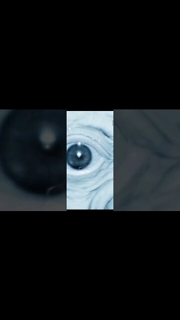 Ghostwire: Tokyo #2 @NEWxXxGames #ghostwiretokyo