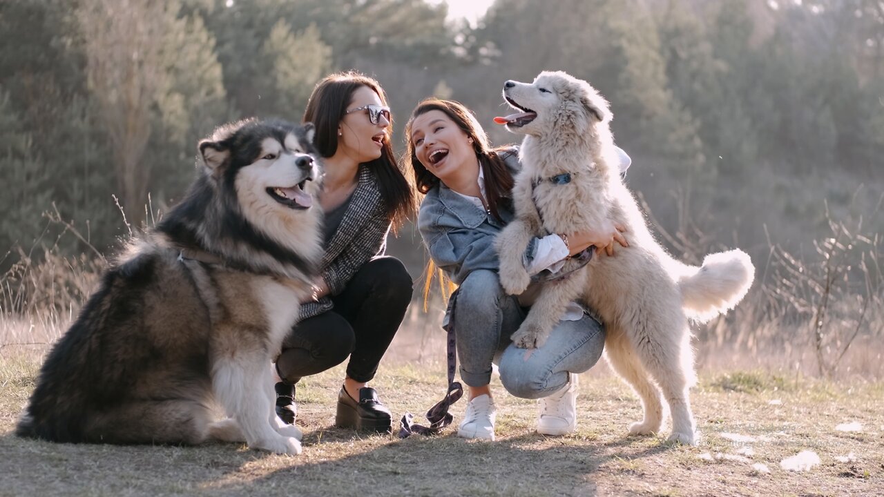 Women Playing With Their Dogs