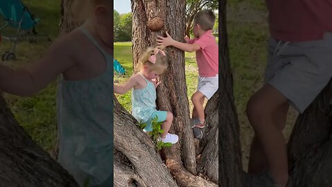 Climbing a tree!￼