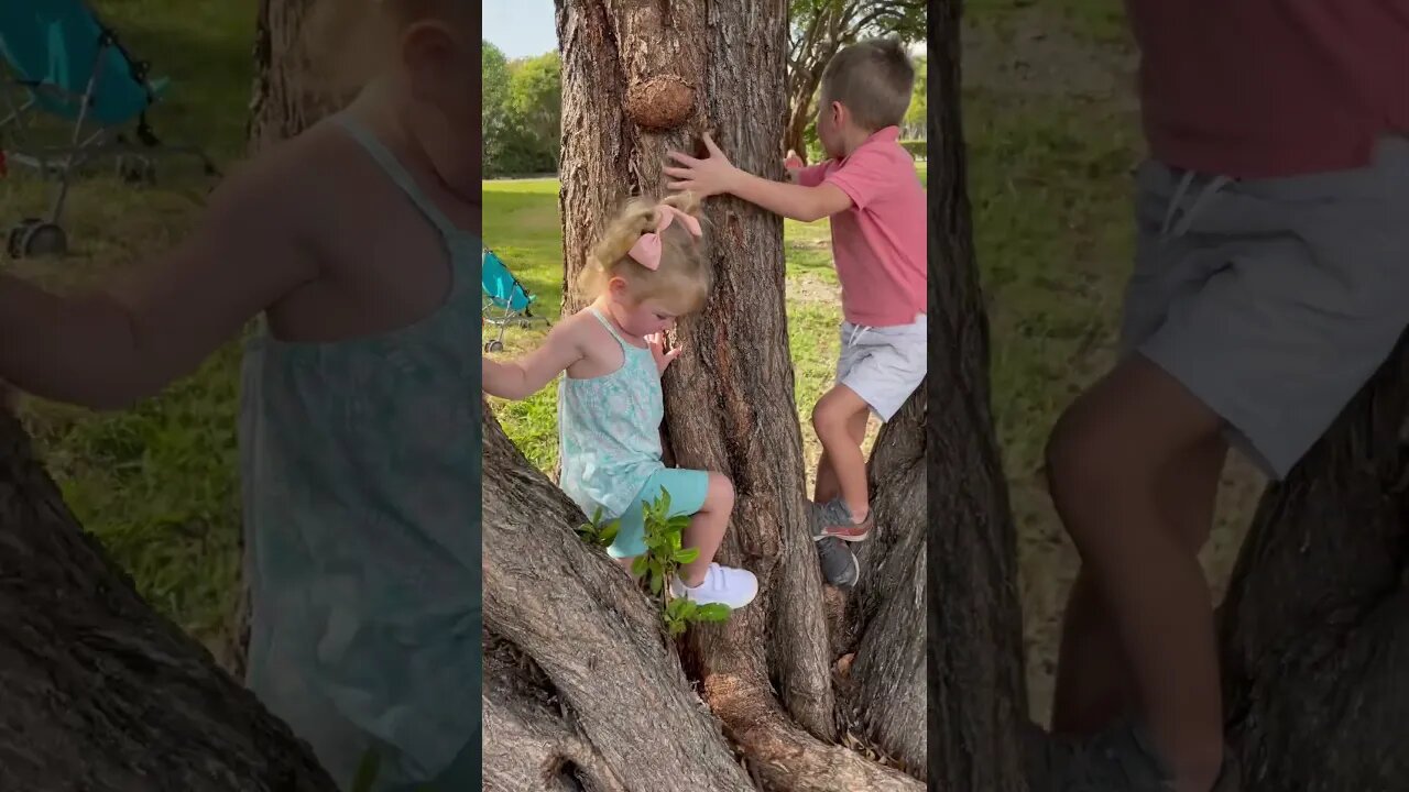 Climbing a tree!