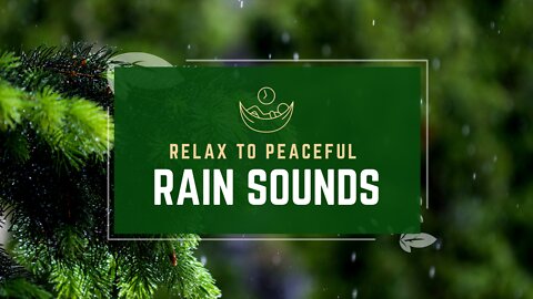 Relax to the Sound of Rain