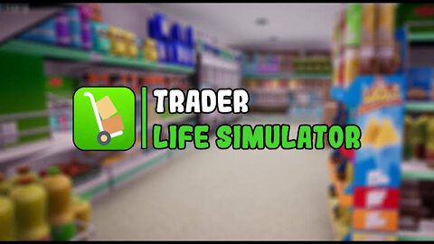 Trader Life Simulator