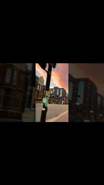 Downtown Halifax is a Vibe 🌅