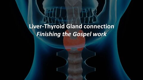 The Liver - Thyroid connection and spiritual implications