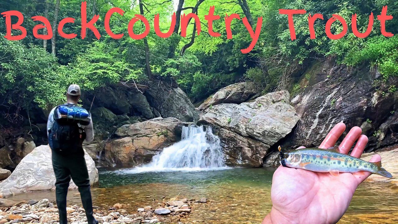 2-Day Trout Trek: Wild Streams & Mountain Views. Catch And Cook. PT 1