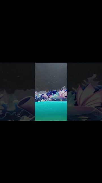 Sea Monkeys Finally Hatched! #shorts