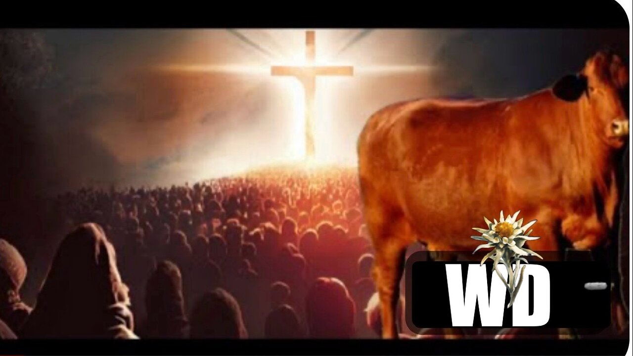 Red Heifers & The Return Of Christ