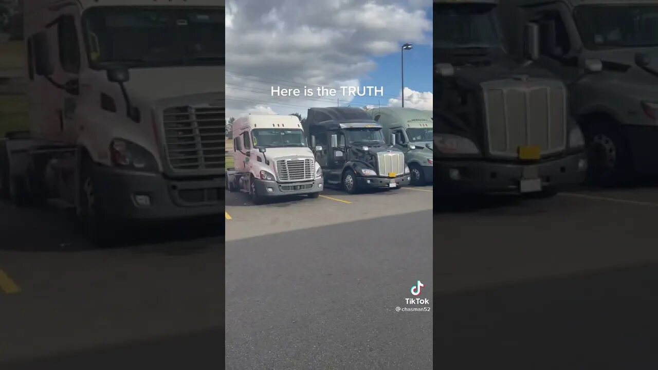 Here is the truth about trucks
