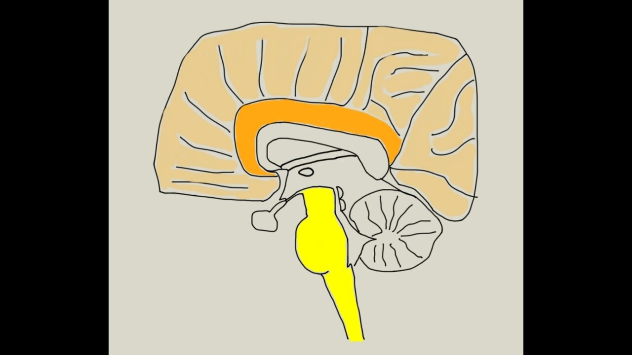 How prevent dementia, with Jack de la Torre "mouse equivalent" turning point theory