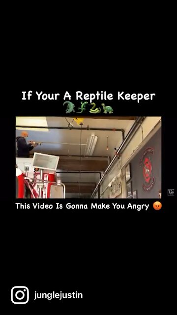 The Ever Lasting Lightbulb