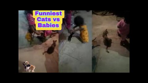 Funniest Cat And Babies | Funniest Cats Meowing | Funniest Cat Sound Meowing #cat #cats #catlover