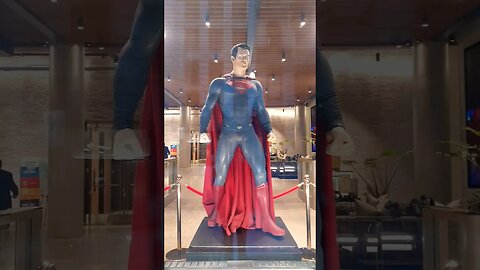 JUSTICE LEAGUE Costumes