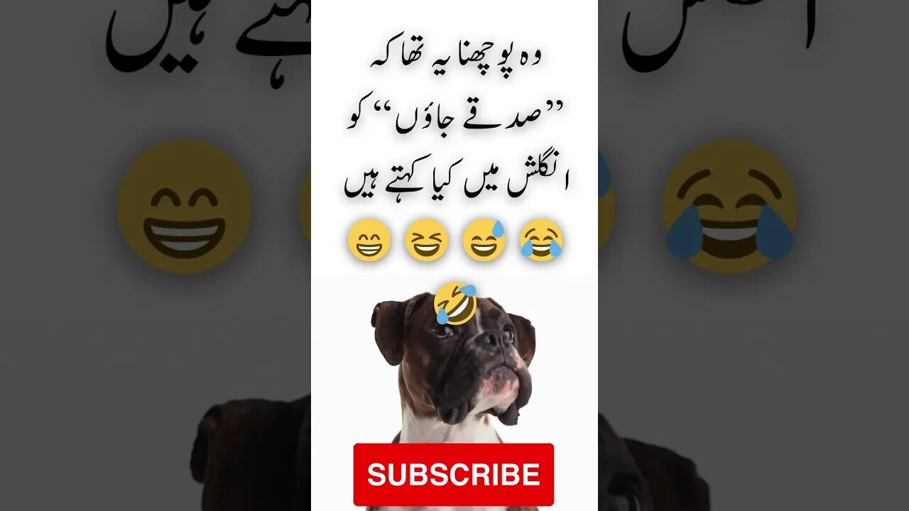 Sacrifice myself | interesting facts | funny quotes | joke in Urdu