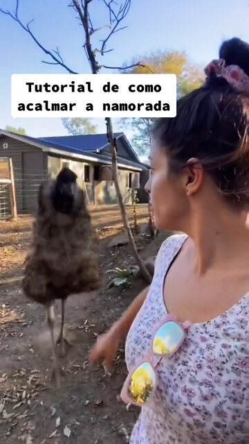 I think it didn't work