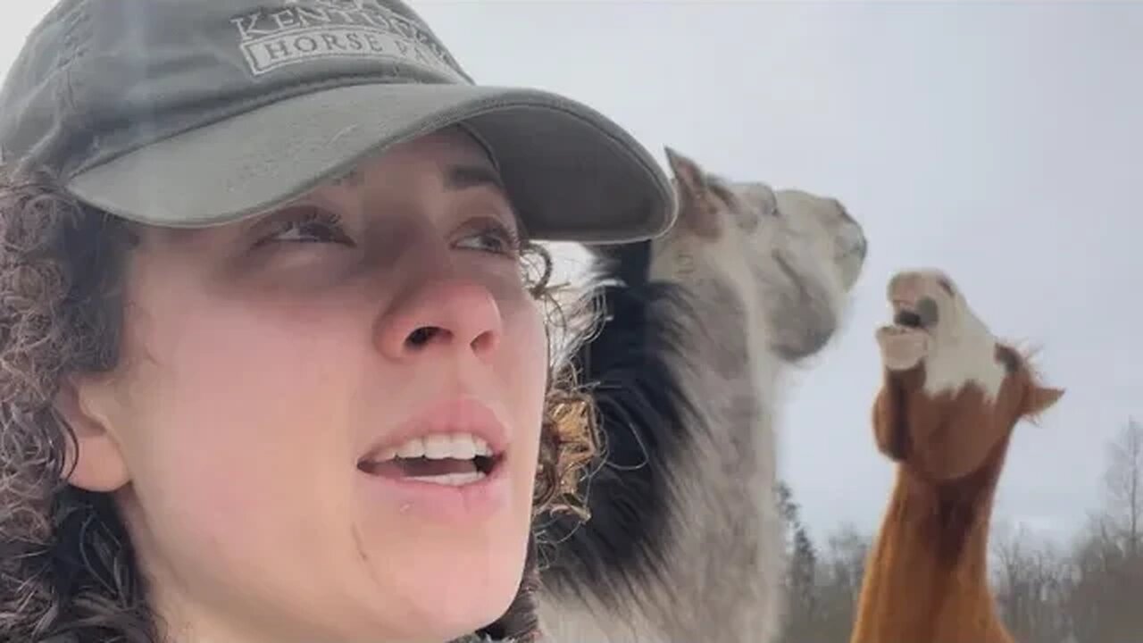 Horses Are So Chaotic: A FARM VLOG