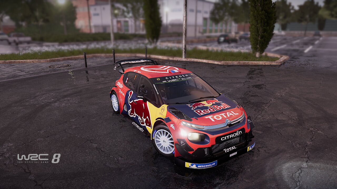 IMPOSSIBLE to have CLEAN RACE (WRC 8)