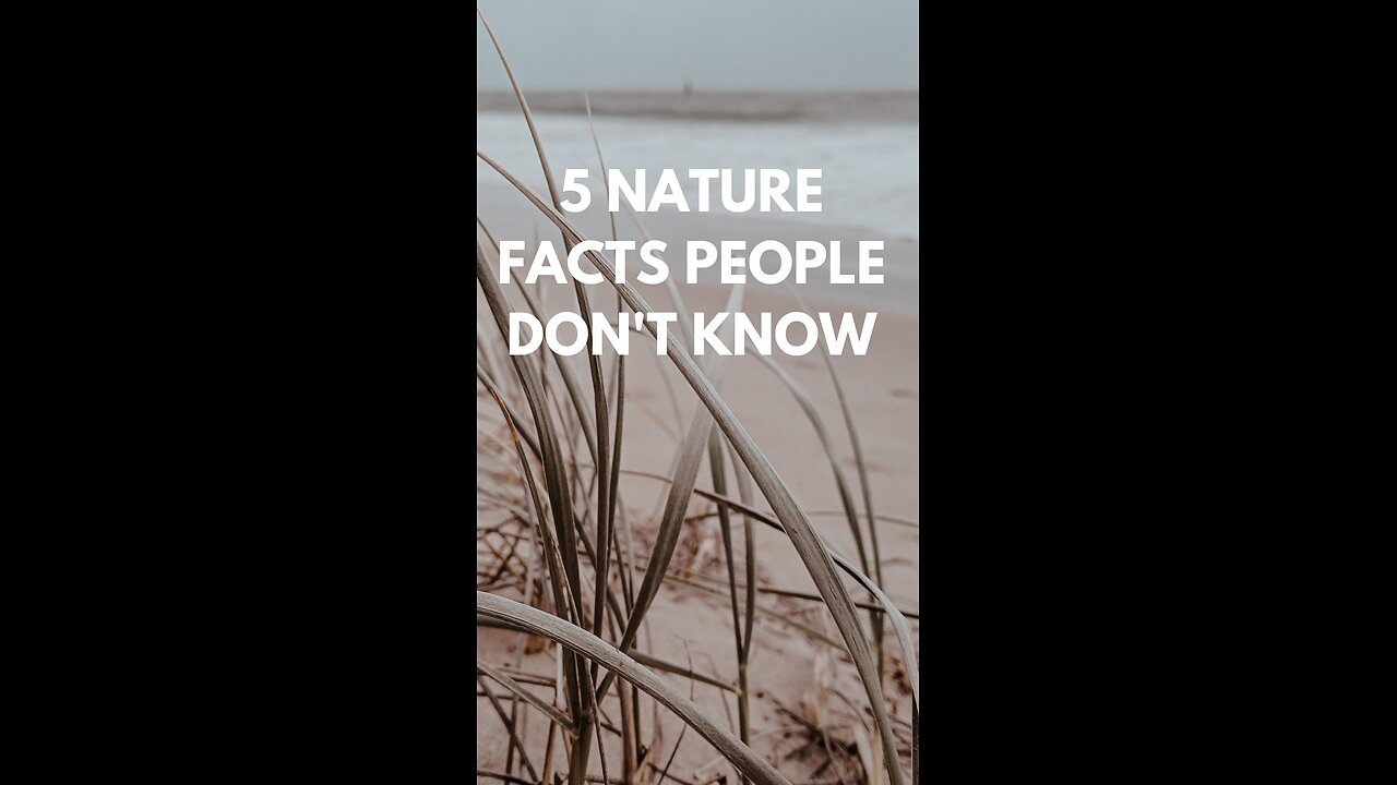 5 Mind-Blowing Nature Facts You Never Knew! 🌿 | Explore the Wonders of the Natural World!"