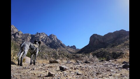 6 Mile Solo(ish) Hike in Organ Mountains - Desert Peaks National Monument, New Mexico