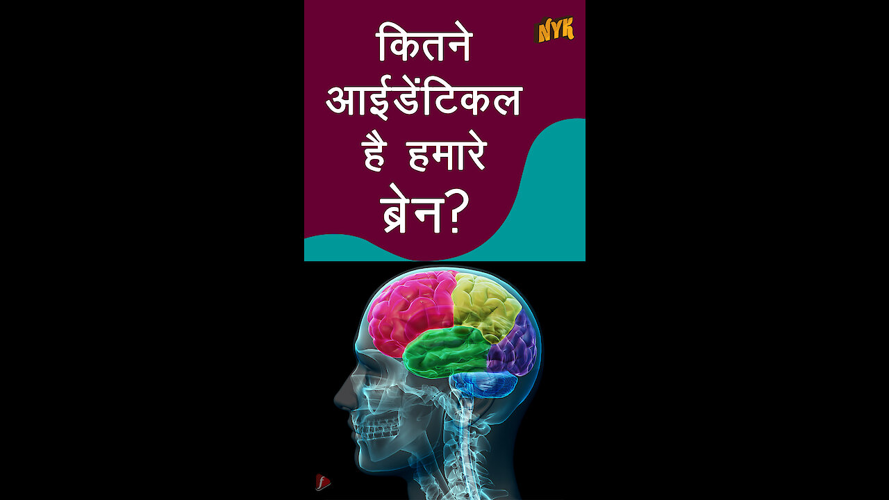 इंसान का दिमाग जानवरो के दिमाग से कैसे अलग है *