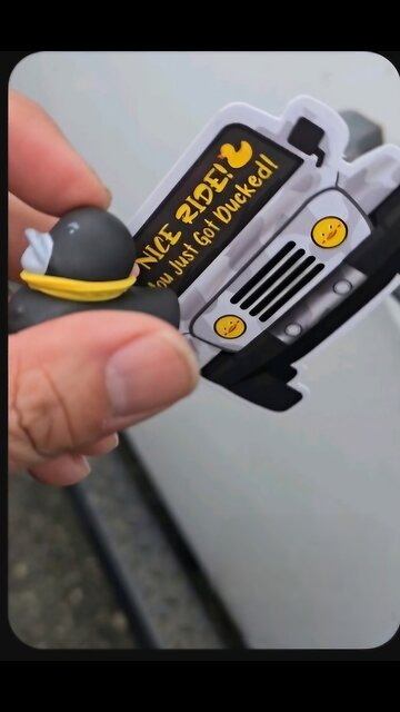 A baseball, Jeep and a duck at the Park